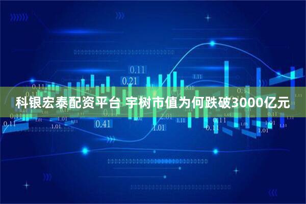科银宏泰配资平台 宇树市值为何跌破3000亿元